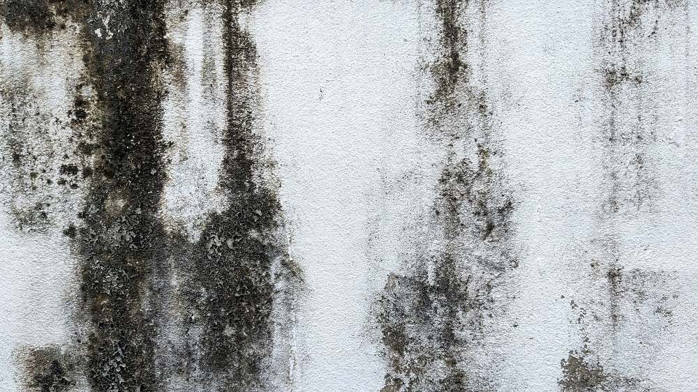 Фото: Hydra 4x @ unsplash