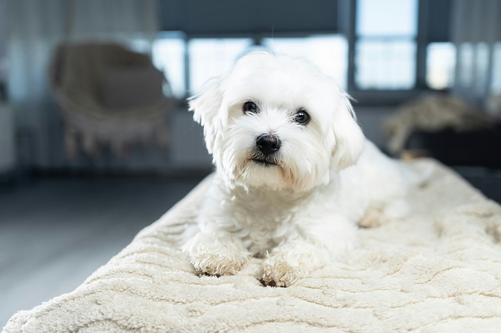 Фото: Damian Kamp @ unsplash